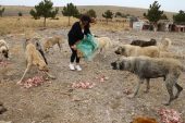 Terk etmeyin bize muhtaçlar