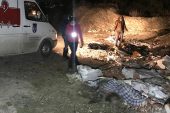 Ankara’da korkunç olay! Çuvalların içinde köpek ölüleri bulundu