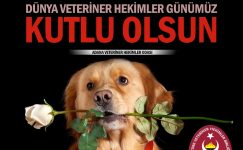 25 Nisan Dünya Veteriner Hekimler Günü