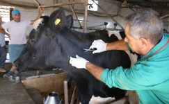 Hayvan Hastalıkları İle Mücadele ve Hayvan Hareketleri Kontrolü Genelgesi (2016-02)