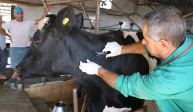 Hayvan Hastalıkları İle Mücadele ve Hayvan Hareketleri Kontrolü Genelgesi (2016-02)
