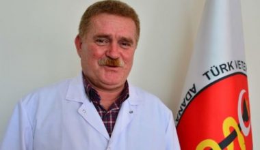 Veteriner hekimlerden doktorlara uyarı: Herkes kendi işini yapacak
