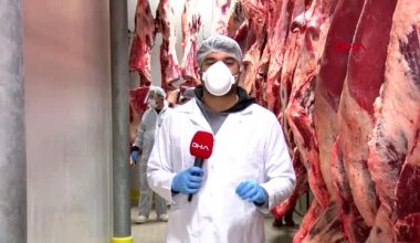 Adana Veteriner Hekimler Odası “Kontrolden geçmiş, damgalı eti tercih edin”