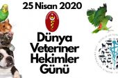 Bugün Dünya Veteriner Hekimler Günü, Tüm Veteriner Hekimlerimize Kutlu Olsun