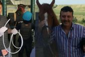 Veteriner, Muayene Ettiği Atın Çiftesiyle Öldü