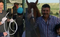 Veteriner, Muayene Ettiği Atın Çiftesiyle Öldü