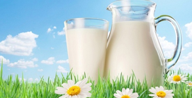 1 Haziran Dünya Süt Günü Kutlu Olsun