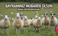 Bayramınız Mübarek Olsun