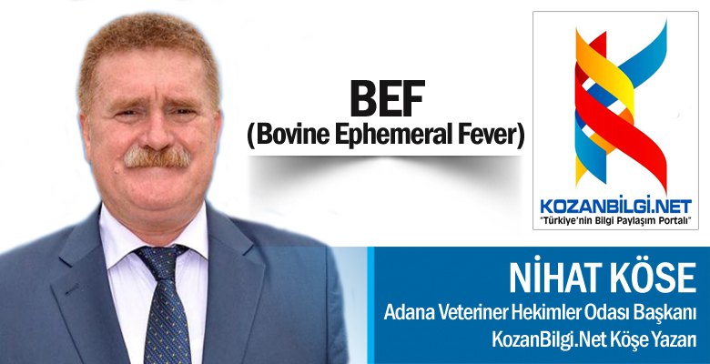 BEF (Bovine Ephemeral Fever)