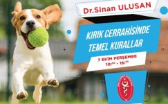 Kırık Tedavisinde Temel Kurallar – Dr. Sinan Ulusal – 7 Ekim Perşembe