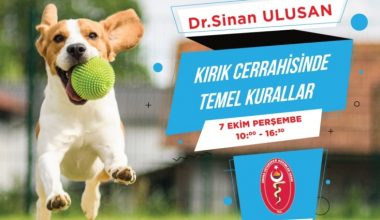 Kırık Tedavisinde Temel Kurallar – Dr. Sinan Ulusal – 7 Ekim Perşembe
