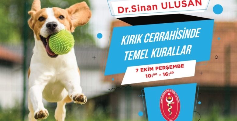 Kırık Tedavisinde Temel Kurallar – Dr. Sinan Ulusal – 7 Ekim Perşembe
