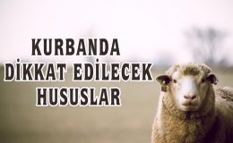 Kurbanda dikkat edilecek hususlar (Video)