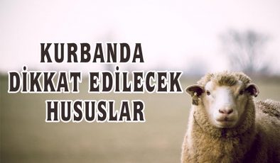 Kurbanda dikkat edilecek hususlar (Video)