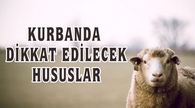 Kurbanda dikkat edilecek hususlar (Video)