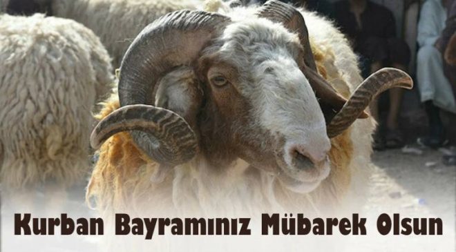 Başkan Köse Kurban Bayramı Kutlama Mesajı Yayımladı