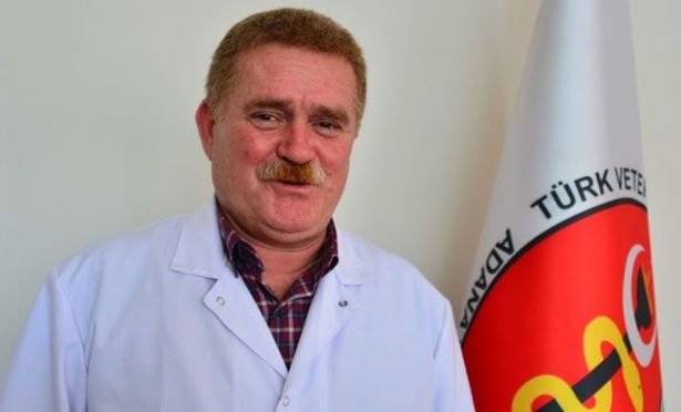 Veteriner hekimlerden doktorlara uyarı: Herkes kendi işini yapacak