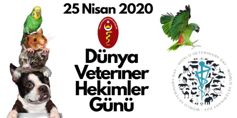 Bugün Dünya Veteriner Hekimler Günü, Tüm Veteriner Hekimlerimize Kutlu Olsun