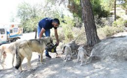 Adana’da Hayvansever Dayanışması