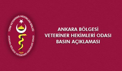 Ankara VHO; “Veteriner Hekimler, güvenli gıda üretiminde hayati öneme sahip”