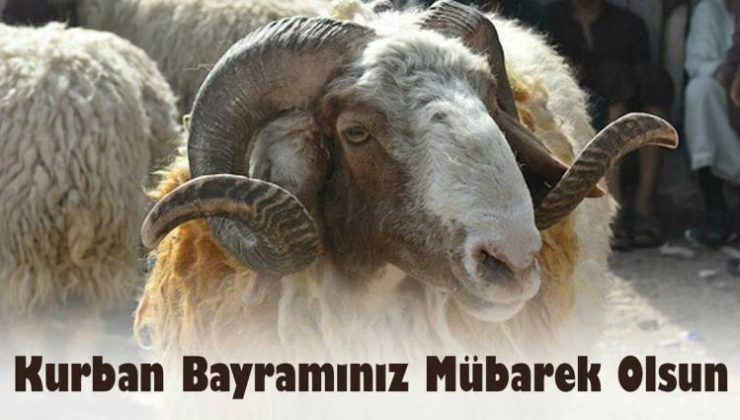 Başkan Köse Kurban Bayramı Kutlama Mesajı Yayımladı