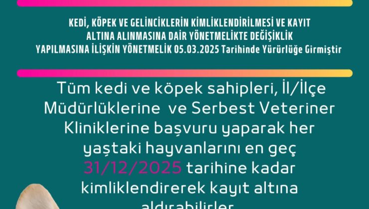 KEDİ VE KÖPEĞİNİZE ÇİP TAKTIRDINIZ MI❓️
