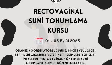 İNEKLERDE RECTOVAGİNAL YÖNTEMLE SUN’İ TOHUMLAMA KURSU DÜZENLENECEKTİR