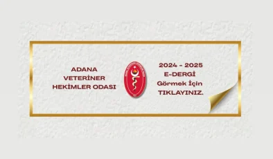 YILLIK ÇALIŞMA RAPORUMUZ YAYINDA