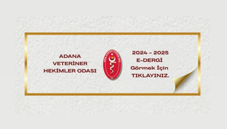 YILLIK ÇALIŞMA RAPORUMUZ YAYINDA