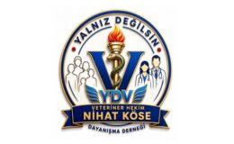 YALNIZ DEĞİLSİN