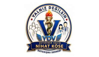 YALNIZ DEĞİLSİN