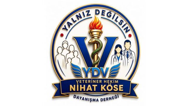 YALNIZ DEĞİLSİN