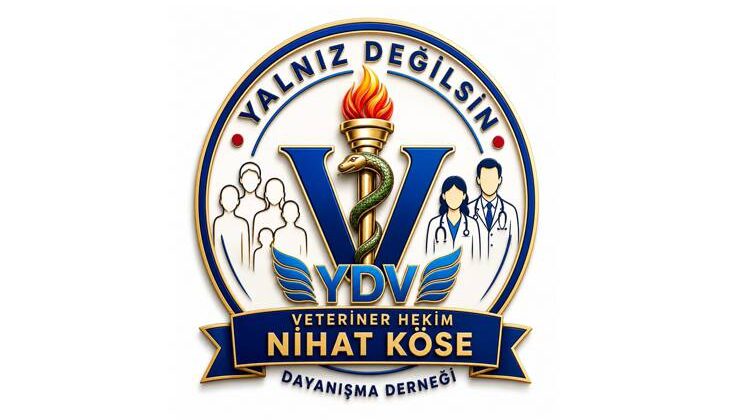 YALNIZ DEĞİLSİN